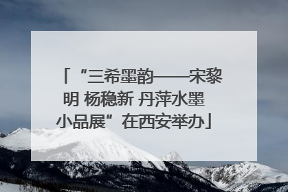 “三希墨韵——宋黎明 杨稳新 丹萍水墨小品展”在西安举办